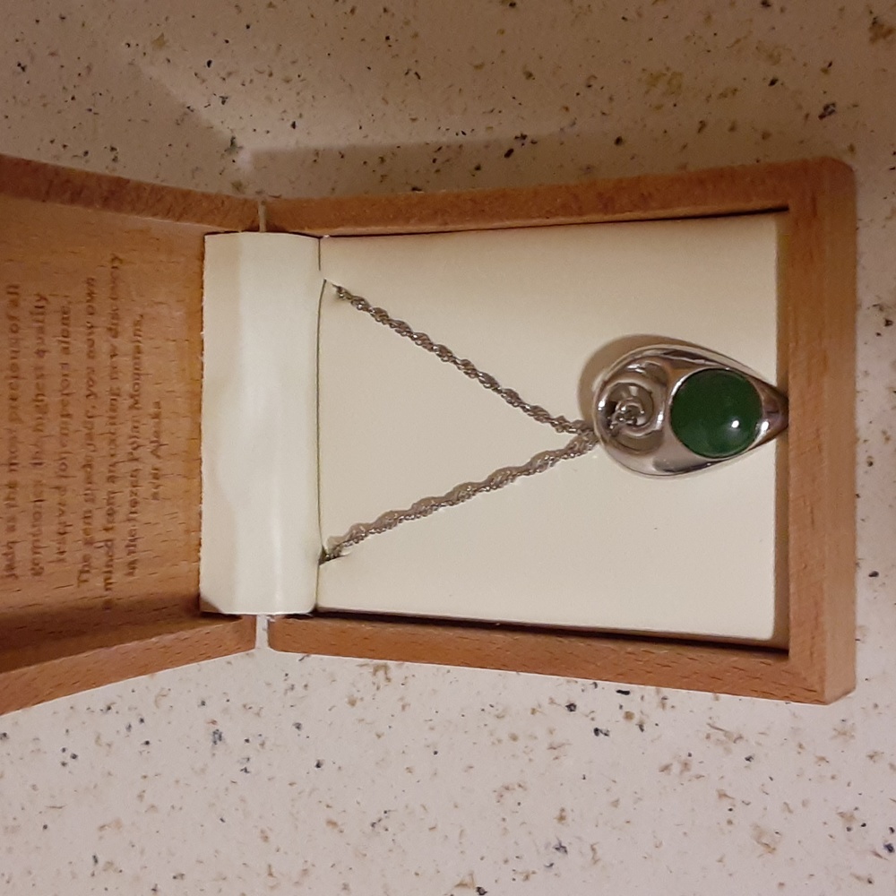 Silver Alaskan jade pendant with 18" chain. - Picture 5 of 6